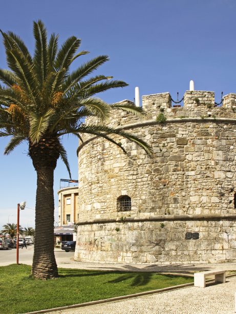 f33a24_0ad247d292dd4504989511cff2e27eb2~mv2